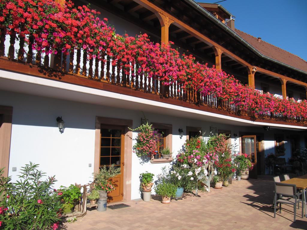 La Ferme De Louise Bed and Breakfast Hohengoeft Exteriör bild
